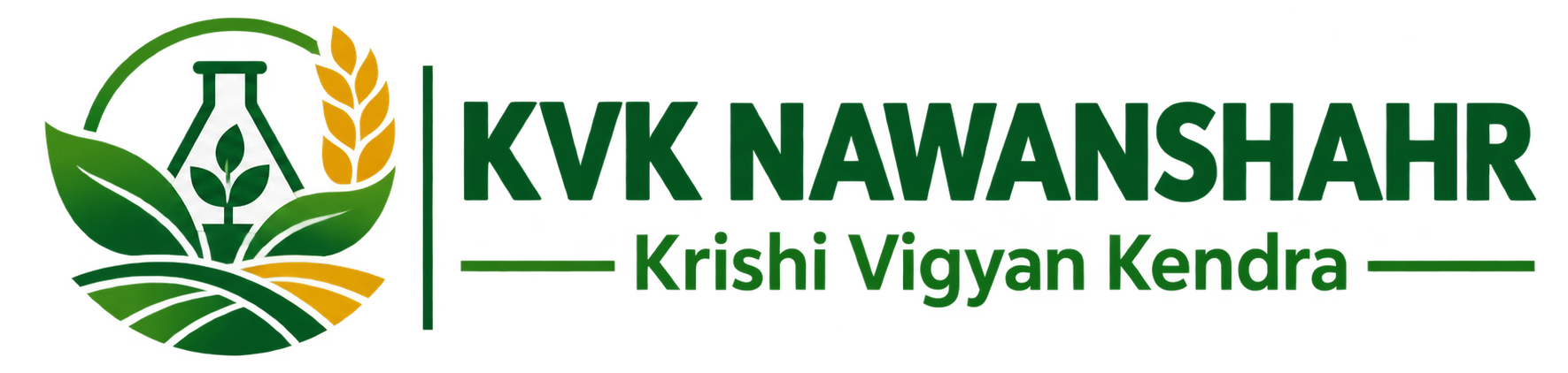 kvknawanshahr